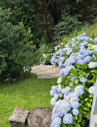 Casa Gaspar 빌라 폰테다바카